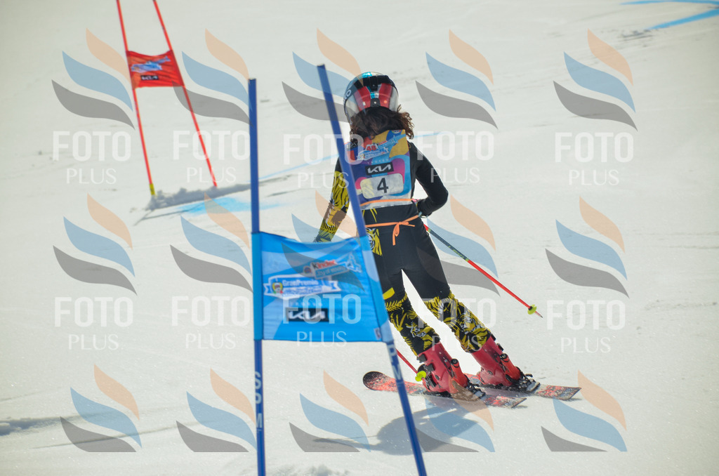 _ELE4416 | holidayphoto