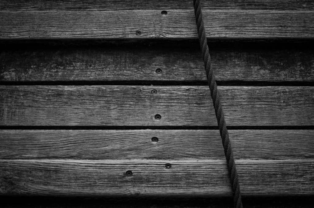 DSC_2801 | kaefersammler_roy - Realisiert mit Pictrs.com