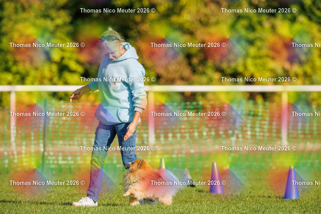 Thomas_Nico_Meuter(C)_04. Oktober 2026_223A0614 | Bild von Thomas Nico Meuter - Realisiert mit Pictrs.com