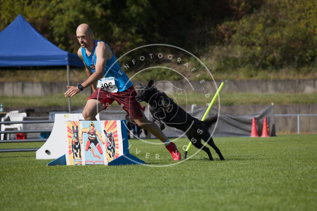0L8A8177 | Hundefotografie, Tierfotograf, Pfotenfotografie, Fotoshooting Hund, Hunde Portrait, Hundesport, Hundeportraits, Heideshooting, Hunde, Sportfotograf, Hundefotograf, Turnierhundsport, THS,  - Realisiert mit Pictrs.com