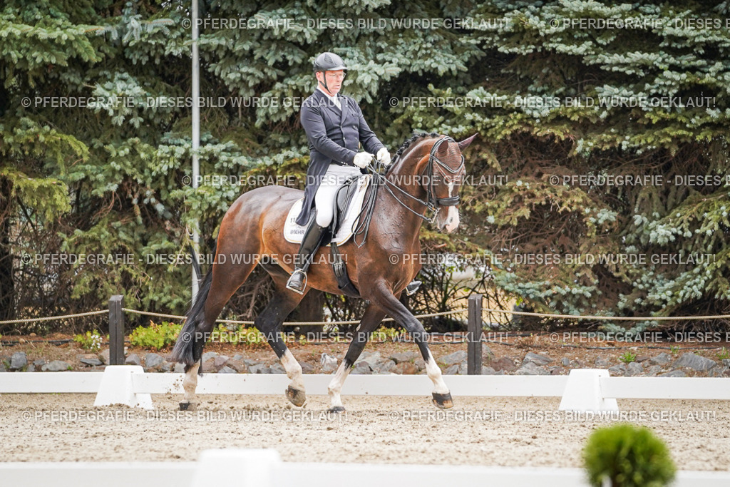 DSC06898 | Pferdegrafie