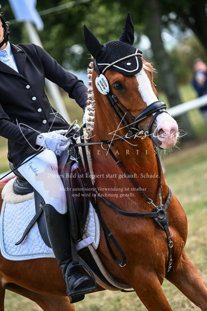 DSC_8076 | Pferde- und Turnierfotografie in Westsachsen. Pferdeportraits, Auftragszeichnungen und intuitive Kunst.
