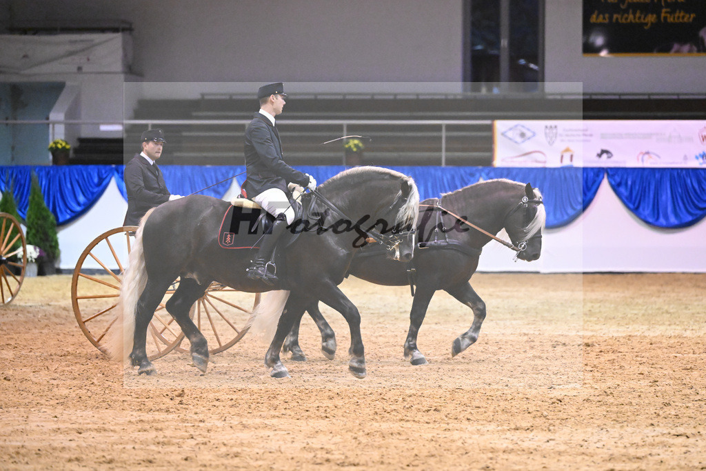 Schauprogramm_54222495 | hf-fotografie - Realisiert mit Pictrs.com