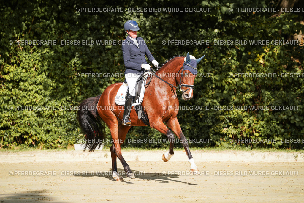 DSC07611 | Pferdegrafie