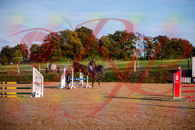 2026_10_03_Siefer-Hof_171044_Z81_07707909 | Professionelle Reitsport-, Turnier- und Eventfotografie von Robert Broda. Galerien mit ausgewählten und bearbeiteten Bildern direkt online ansehen und bestellen.