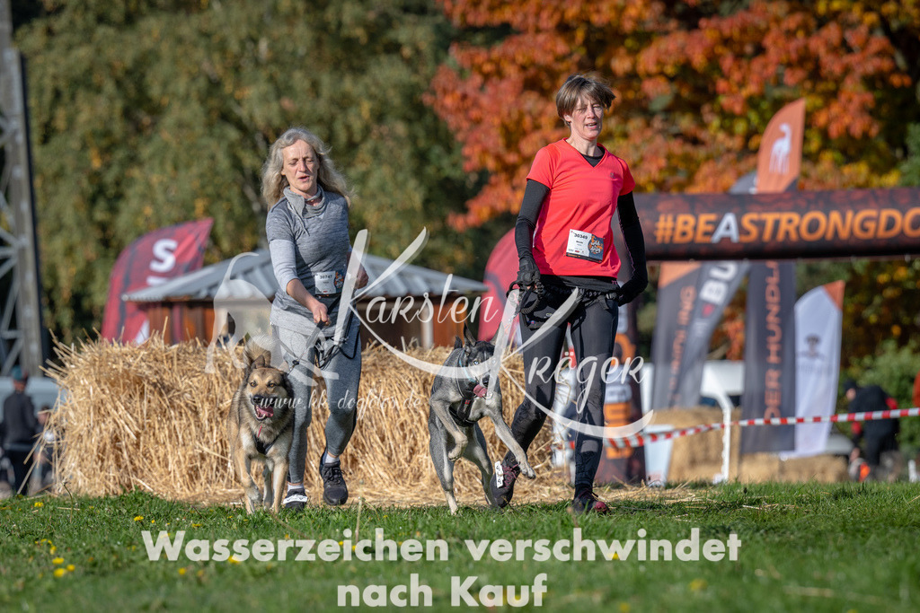 1030_ZZ90706 | kk-dogfotos