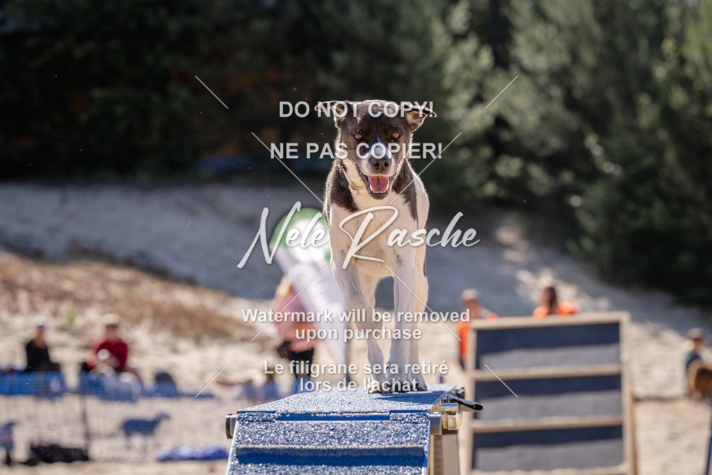 NR__0856 | nelerasche