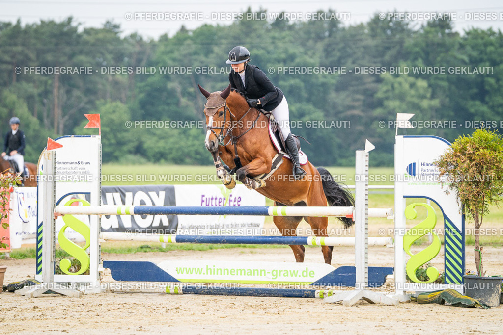 DSC09389 | Pferdegrafie