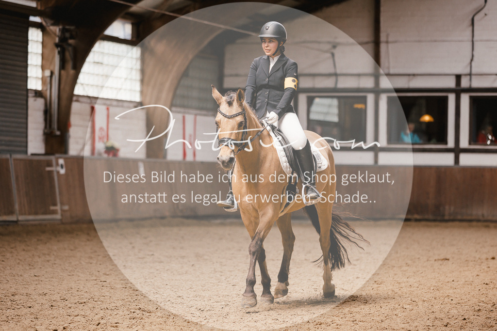 3I6A7577 | Stimmungsvolle Portraits und Reitsportfotografie im Ruhrgebiet und im Münsterland.

Pferdefotografie, Hundefotografie, Tierfotografie, Reportagen, Portraits von Tier und Mensch, Turnierfotografie in Bochum, Recklinghausen, Marl, Haltern am See, Dülmen.. - Realisiert mit Pictrs.com