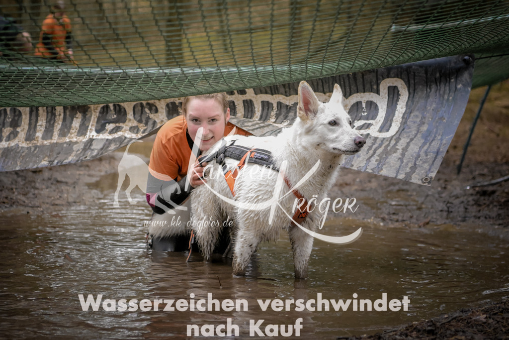 0921_ZZ97443 | kk-dogfotos