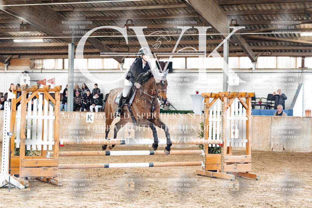 CK904388 | Turnierfotografie Pferdefotografie Trier Rheinland-Pfalz Pferdesport Reitsport Tierfotografie Sportfotografie Pferdevideo Pferdevideografie Equestrianvideography equestrianphotography  - Realized with Pictrs.com