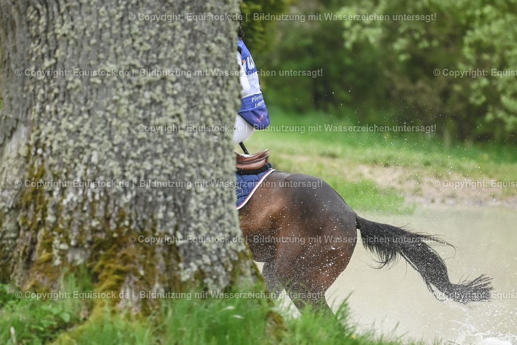 20230513_CCI4_Gelände_0091 | equistock