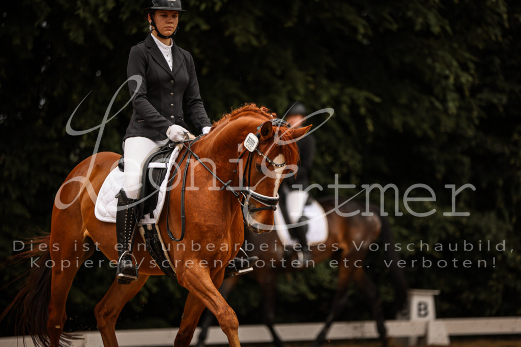 DoDrE00244 | Leoni Ertmer Photography - Realisiert mit Pictrs.com