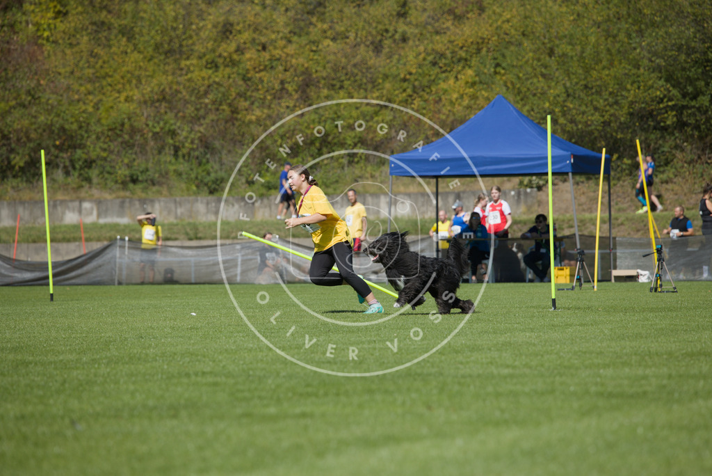 0L8A6002 | Hundefotografie, Tierfotograf, Pfotenfotografie, Fotoshooting Hund, Hunde Portrait, Hundesport, Hundeportraits, Heideshooting, Hunde, Sportfotograf, Hundefotograf, Turnierhundsport, THS,  - Realisiert mit Pictrs.com