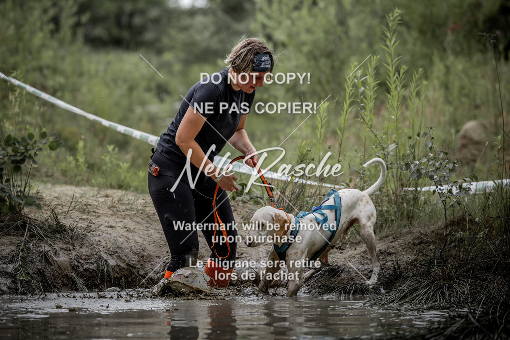 nelerasche_so0800-0930_477 | nelerasche