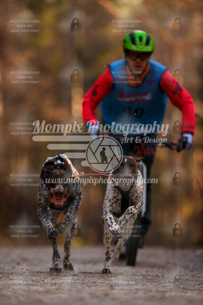 MompixPhotography_DM_AKDM_SO_2025_Scooter-19 | PayLife