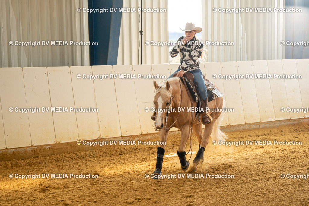 MIT01074 | dv-media-shop - Realisiert mit Pictrs.com