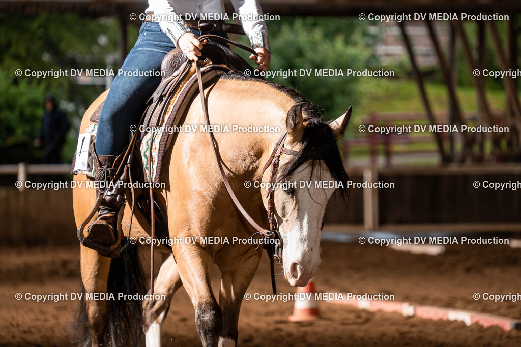 Erbach Tag 1-41 | dv-media-shop - Realisiert mit Pictrs.com