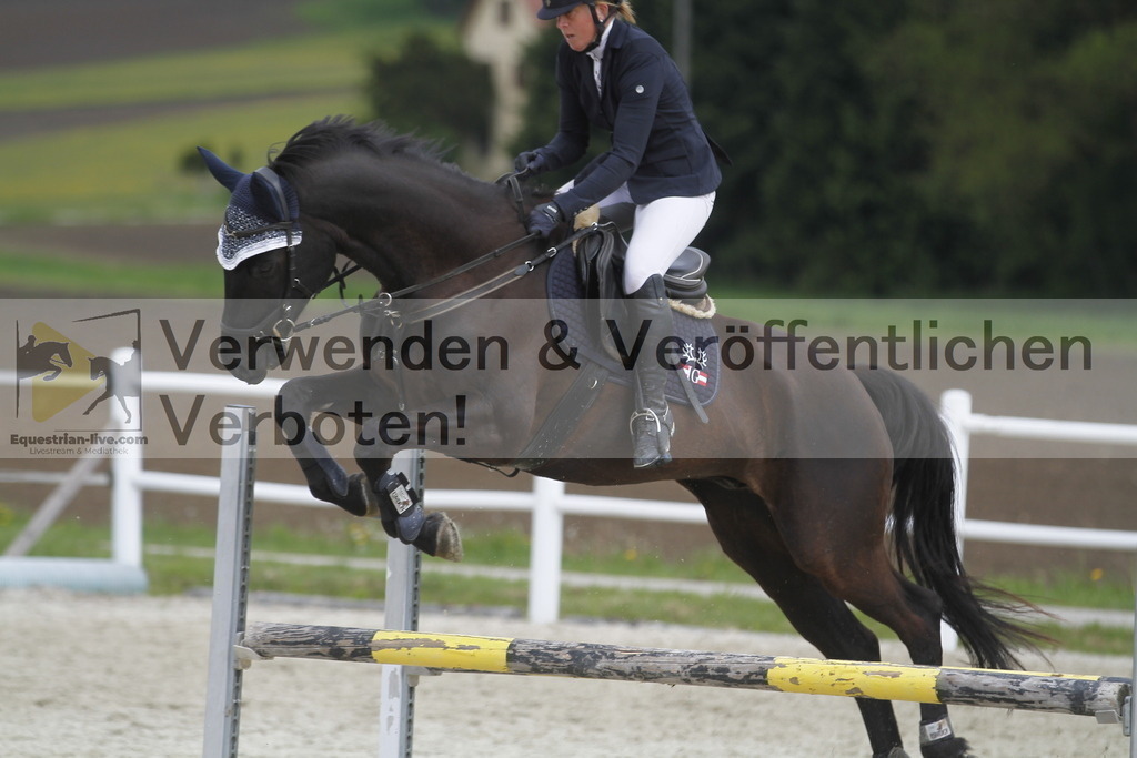 _MG_1918 | equestrian-live-com