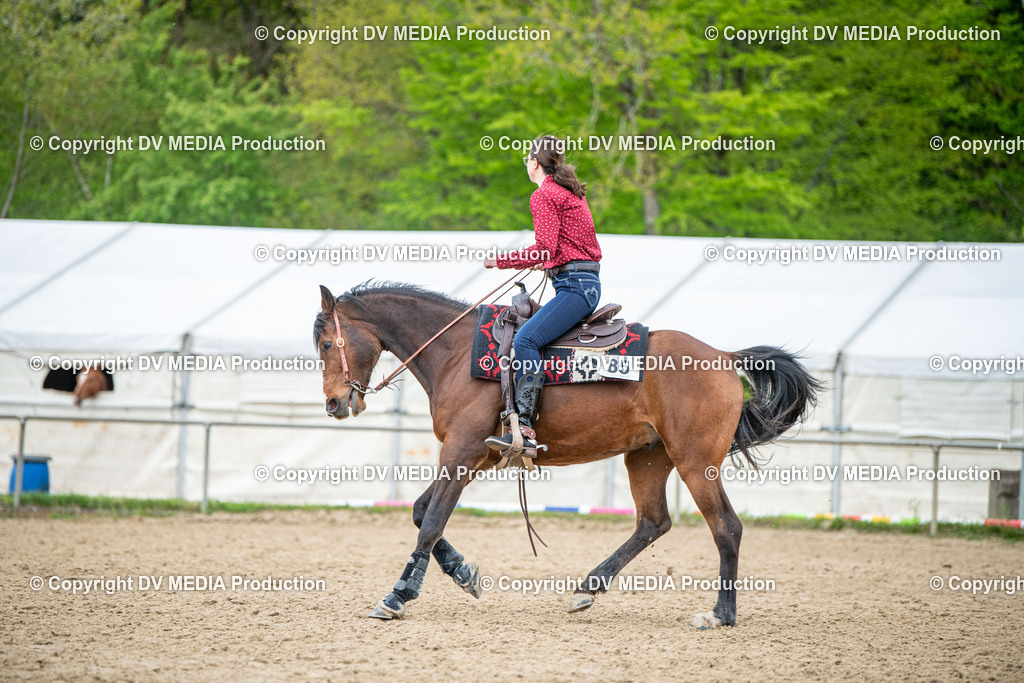 Heiligenwald Tag 1-1842 | dv-media-shop - Realisiert mit Pictrs.com