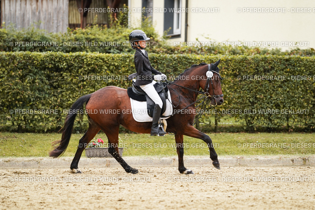 DSC00633 | Pferdegrafie