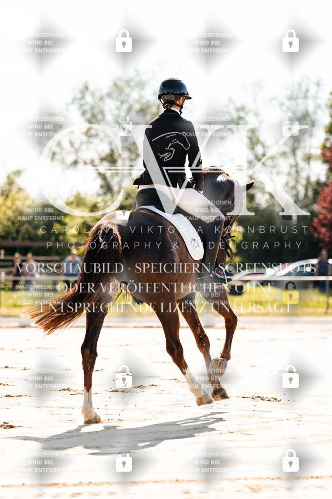 CK909090 | Turnierfotografie Pferdefotografie Trier Rheinland-Pfalz Pferdesport Reitsport Tierfotografie Sportfotografie Pferdevideo Pferdevideografie Equestrianvideography equestrianphotography  - Realisiert mit Pictrs.com