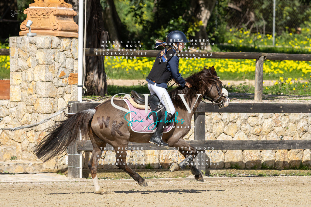 IMG_6302 | s-jay-photography - Realisiert mit Pictrs.com