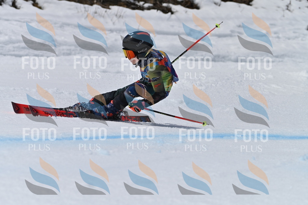 BGV_7225 | holidayphoto