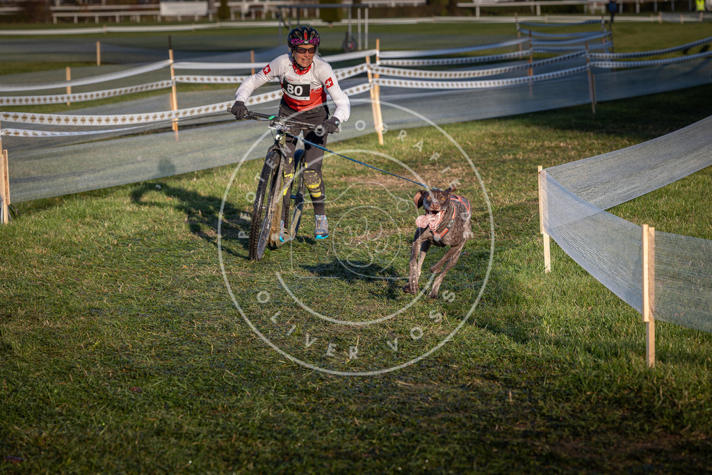 CaniXpix_0L8A3667 | Hundefotografie, Tierfotograf, Pfotenfotografie, Fotoshooting Hund, Hunde Portrait, Hundesport, Hundeportraits, Heideshooting, Hunde, Sportfotograf, Hundefotograf, Turnierhundsport, THS,  - Realisiert mit Pictrs.com
