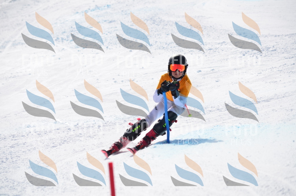 C9862 | holidayphoto