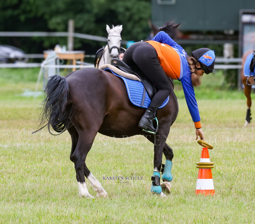 1B3A1502 | Reitsport Reiten