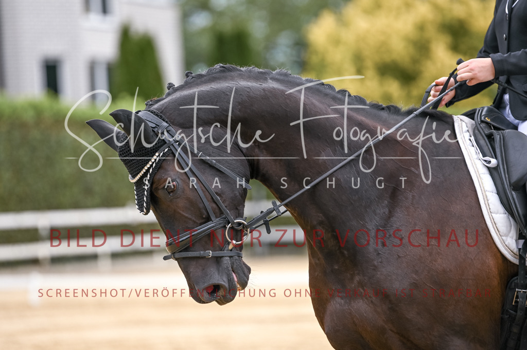 Schugtsche-Aluta25-42.EDressur -51 | Schugtsche Fotografie - Realisiert mit Pictrs.com
