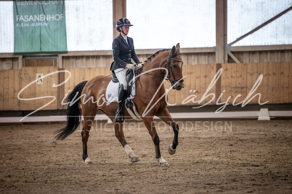 20251011-_3LI2046 | Tierfotografie Pferde, Hunde, Katzen, Haustiere.
Turnierfotografie Reitturniere, Reiten, Springreiten, Dressur in Hanau, dem Main-Kinzig-Kreis und dem Rhein-Main- Gebiet um Frankfurt