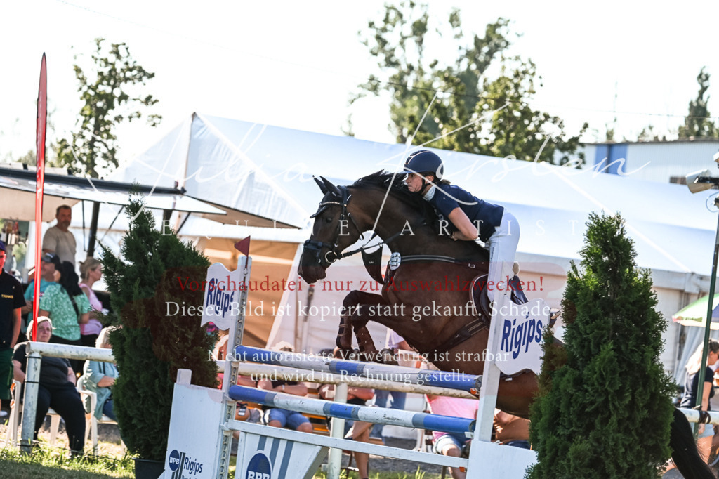 DSC_2980 | Pferde- und Turnierfotografie in Westsachsen. Pferdeportraits, Auftragszeichnungen und intuitive Kunst.