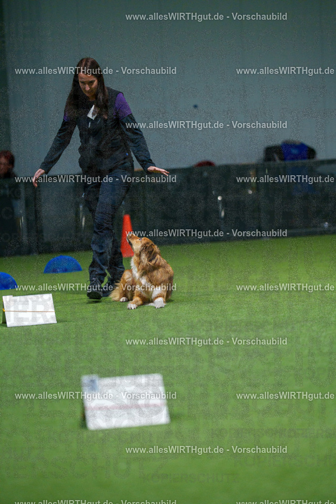 7R507723 | Professionelle Tierfotografie in Mönchengladbach von Daniel Wirth (allesWIRTHgut). Liebevolle & natürliche Bilder von Hunden & Katzen für unvergessliche Erinnerungen.