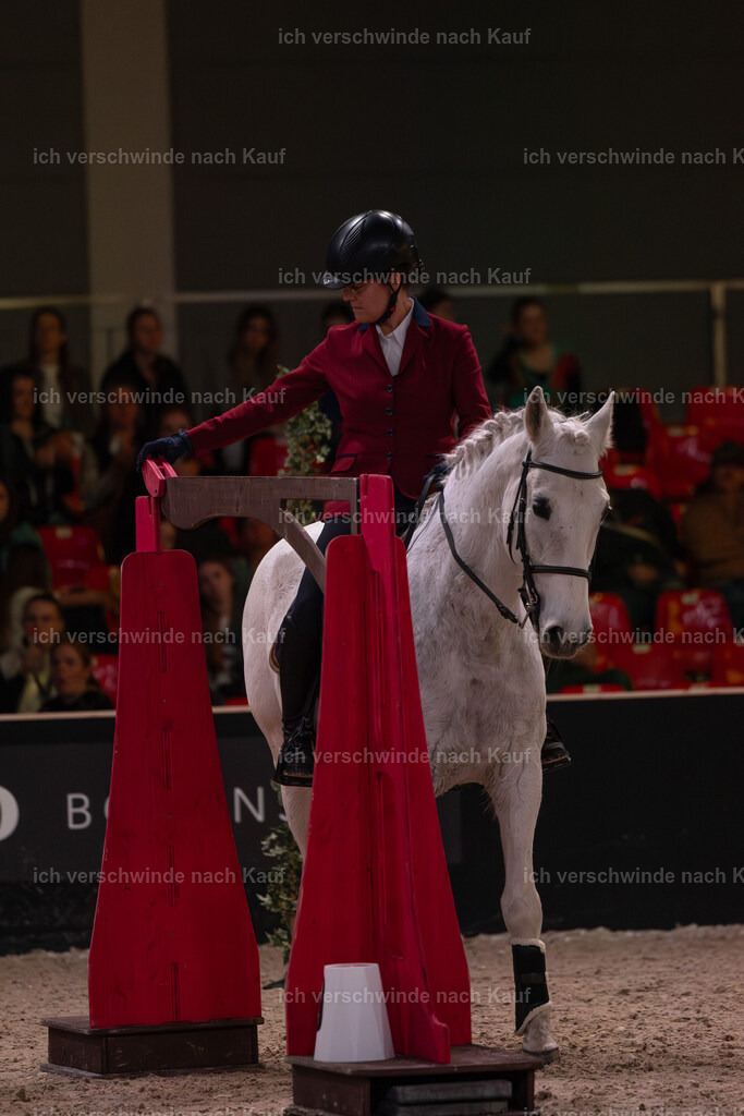 JoseraCup-125 | working equitationturnier fotograf videograf stoibphotography marixx film working equitation deutschland reitsport turnierfotografie eventfotografie equestrian events