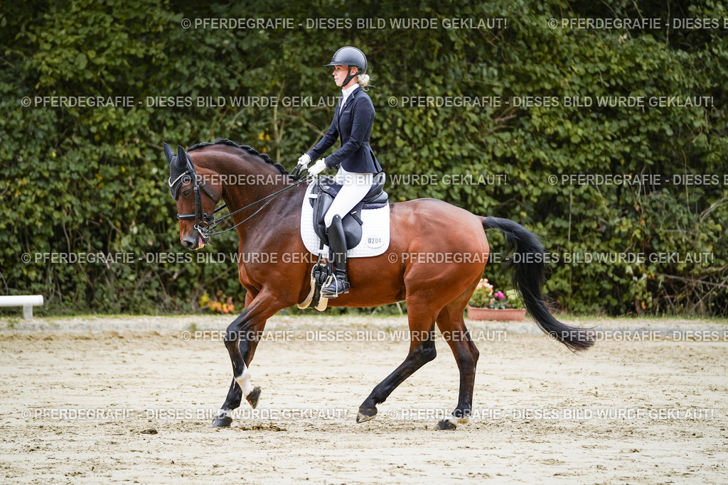 DSC09304 | Pferdegrafie