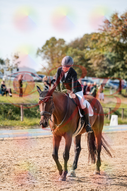 2026_10_03_Siefer-Hof_130547_Z63_69769232 | Professionelle Reitsport-, Turnier- und Eventfotografie von Robert Broda. Galerien mit ausgewählten und bearbeiteten Bildern direkt online ansehen und bestellen.
