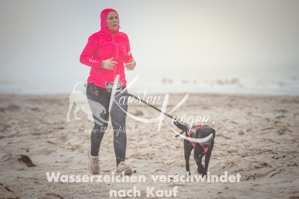 1105_ZZ96717 | kk-dogfotos