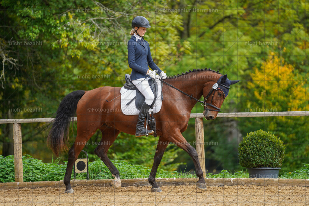 20221007-FAH09856 | Diessen am Ammersee, 2022, Dressur- und Springturnier, Reitsportbilder, Turnierfotografen Bayern, Pferdefotografen, Fotoagentur Herrmann, Turnierbilder