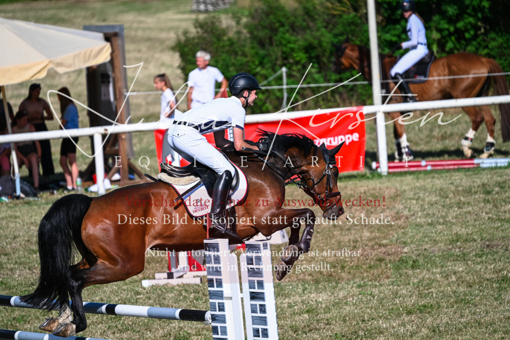 DSC_2523 | Pferde- und Turnierfotografie in Westsachsen. Pferdeportraits, Auftragszeichnungen und intuitive Kunst.