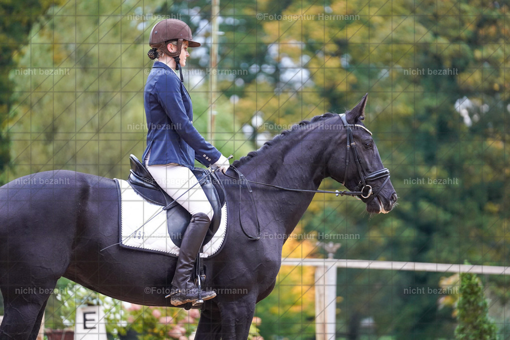 20221008-FAH00696 | Diessen am Ammersee, 2022, Dressur- und Springturnier, Reitsportbilder, Turnierfotografen Bayern, Pferdefotografen, Fotoagentur Herrmann, Turnierbilder