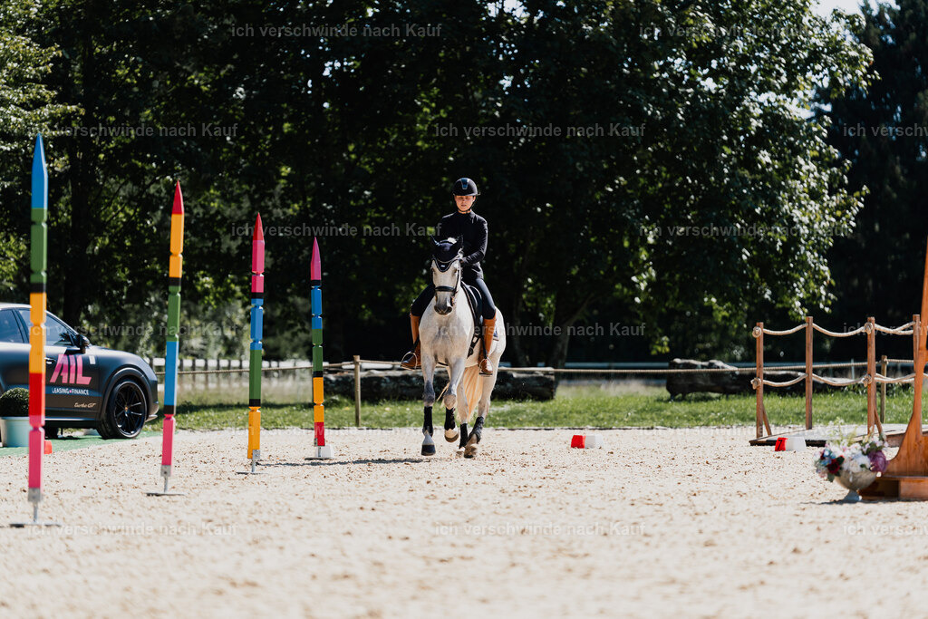 Svea13FHC2025-08763 | working equitationturnier fotograf videograf stoibphotography marixx film working equitation deutschland reitsport turnierfotografie eventfotografie equestrian events