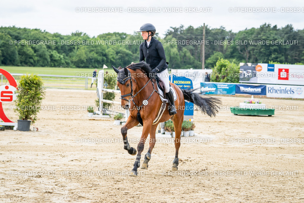 DSC05200 | Pferdegrafie