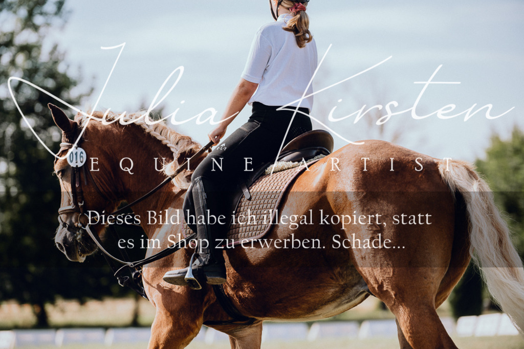 DSC_6908 | Pferde- und Turnierfotografie in Westsachsen. Pferdeportraits, Auftragszeichnungen und intuitive Kunst.