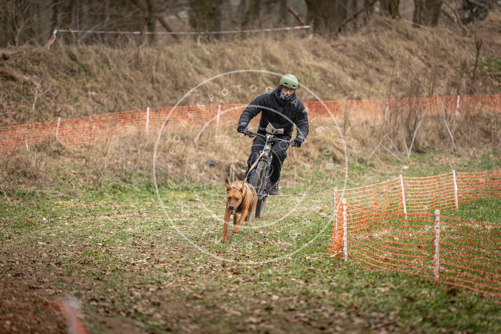Pfotenfotografie_DV3A6812 | Hundefotografie, Tierfotograf, Pfotenfotografie, Fotoshooting Hund, Hunde Portrait, Hundesport, Hundeportraits, Heideshooting, Hunde, Sportfotograf, Hundefotograf, Turnierhundsport, THS,  - Realisiert mit Pictrs.com