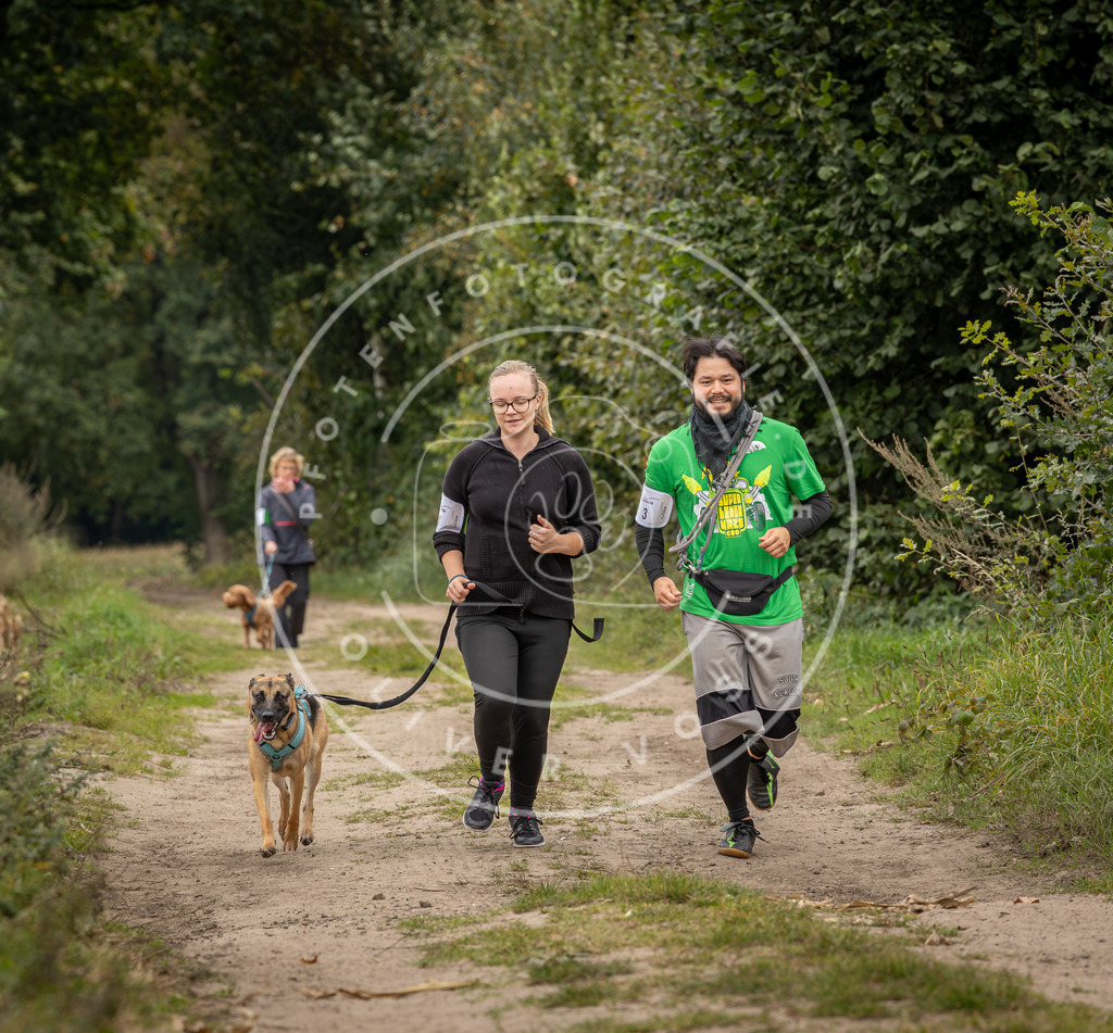 Pfotenfotografie_DV3A8557 | Hundefotografie, Tierfotograf, Pfotenfotografie, Fotoshooting Hund, Hunde Portrait, Hundesport, Hundeportraits, Heideshooting, Hunde, Sportfotograf, Hundefotograf, Turnierhundsport, THS,  - Realisiert mit Pictrs.com