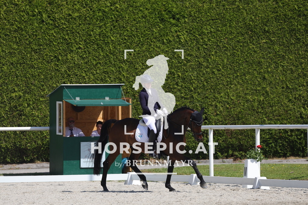 0P6A2878 | Willkommen bei Brunnmayr - Design & Fotografie – Ihrem Spezialisten für Reitturniere und Pferdeveranstaltungen in Oberösterreich, Salzburg und Bayern! Seit über 17 Jahren sind wir leidenschaftlich dabei.