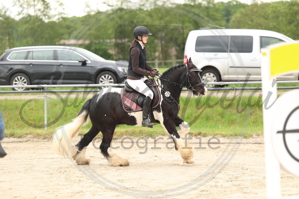 994A8837 | sabrinanicolaifotografie - Realisiert mit Pictrs.com