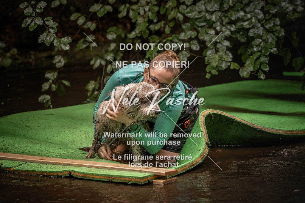 nelerasche_Wingst_Sa1330-1400_175 | nelerasche